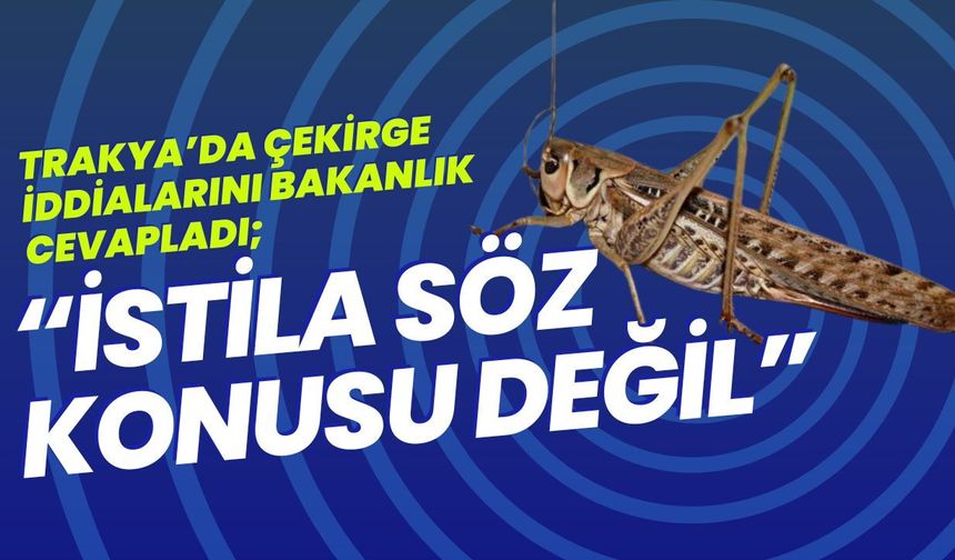 Trakya’da Çekirge İddialarını Bakanlık Cevapladı; “İstila Söz Konusu Değil”