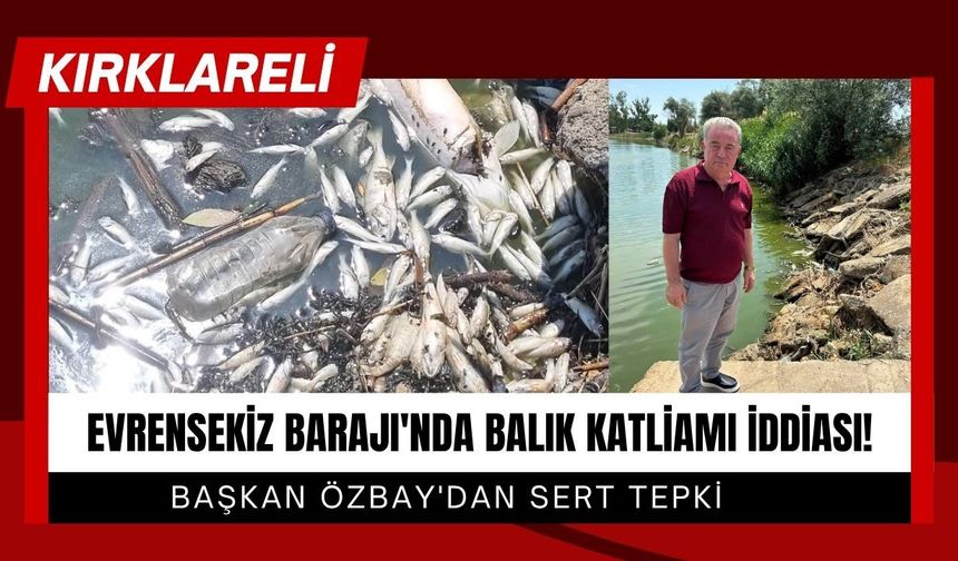 EVRENSEKİZ BARAJI'NDA BALIK KATLİAMI İDDİASI: Başkan Özbay'dan Sert Tepki