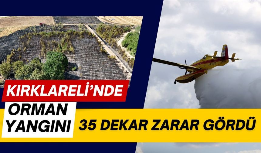 KIRKLARELİ’NDE ORMAN YANGINI; 35 Dekar Zarar Gördü