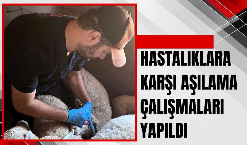 Lüleburgaz’da Hastalıklara Karşı Aşılama Çalışmaları Yapıldı