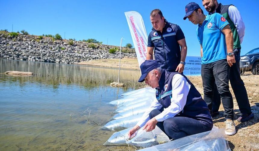 Kırklareli Barajı’nın Sularına 450 Bin Yavru Sazan Balığı Bırakıldı