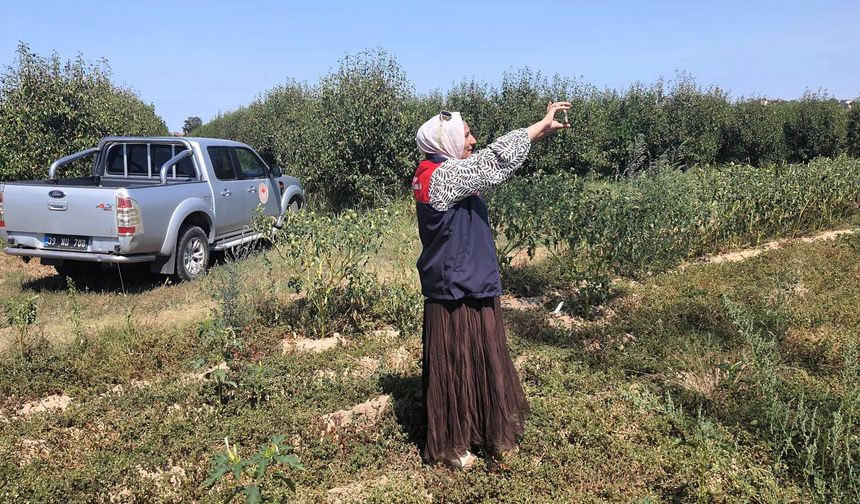 Babaeski’de Referans Parsel Tespiti Çalışmaları Sürüyor