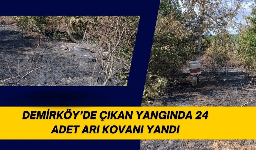 Demirköy’de Çıkan Yangında 24 Adet Arı Kovanı Yandı