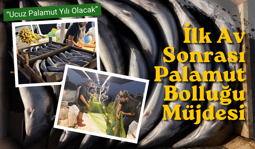 İlk Av Sonrası Palamut Bolluğu Müjdesi
