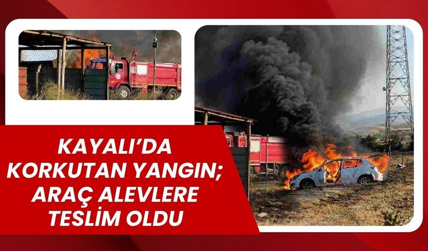Kayalı’da Korkutan Yangın; Araç Alevlere Teslim Oldu