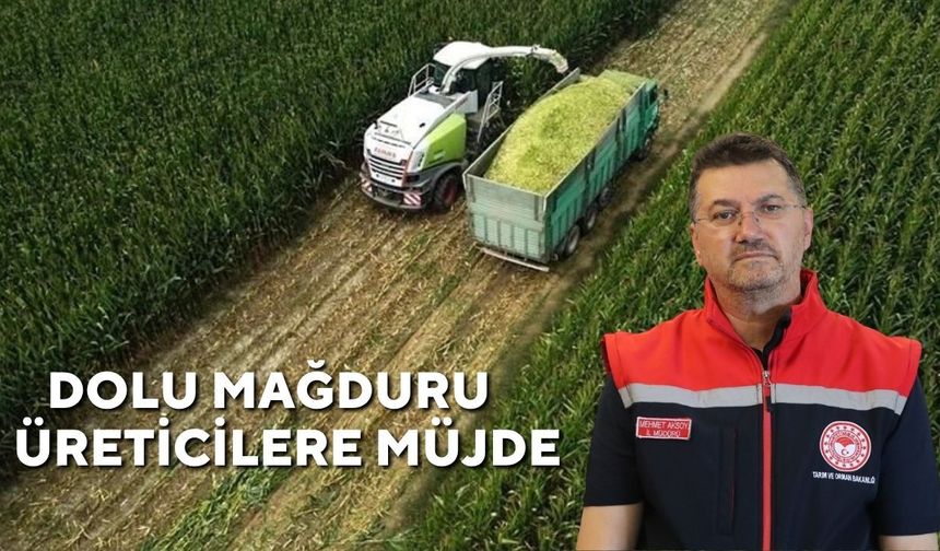 Dolu Mağduru Üreticilere Müjde