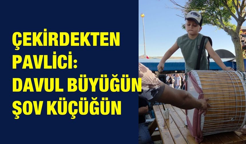 Çekirdekten Pavlici: Davul Büyüğün Şov Küçüğün