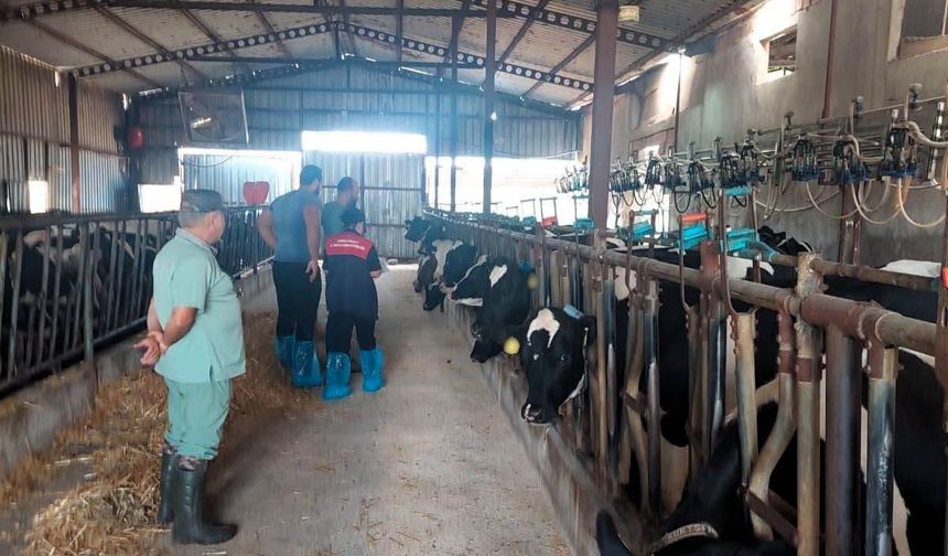 Pınarhisar’da İşletme Denetimleri Sürüyor