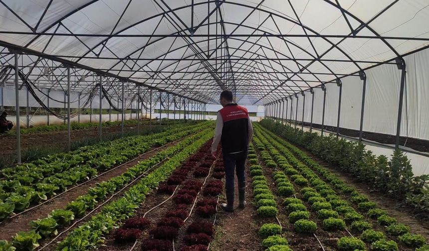 Pınarhisar’da Örtü Altı Üretim Yapan Üretici Ziyaret Edildi