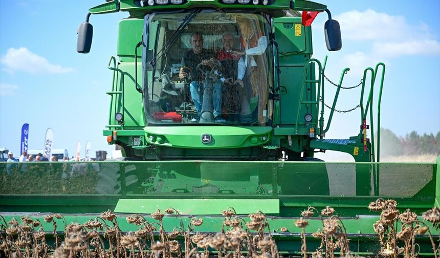 Kırklareli'nde Yerli Hibrit Ayçiçeği Hasadı Yapıldı
