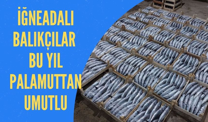 İğneadalı Balıkçılar Bu Yıl Palamuttan Umutlu