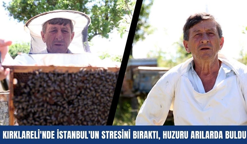 Kırklareli'nde İstanbul'un Stresini Bıraktı, Huzuru Arılarda Buldu