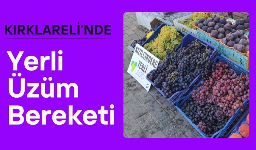 Kırklareli’nde Yerli Üzüm Bereketi