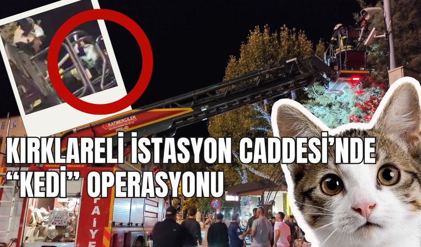 Kırklareli İstasyon Caddesi’nde “Kedi” Operasyonu