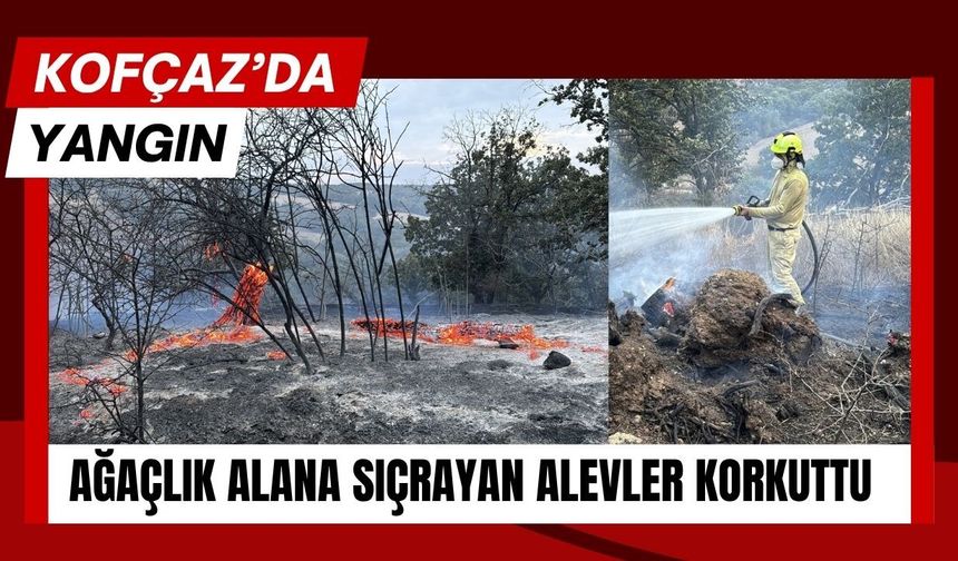 KOFÇAZ’DA YANGIN; Ağaçlık Alana Sıçrayan Alevler Korkuttu