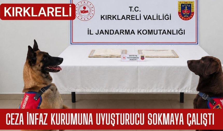 Kırklareli: Ceza İnfaz Kurumuna Uyuşturucu Sokmaya Çalıştı
