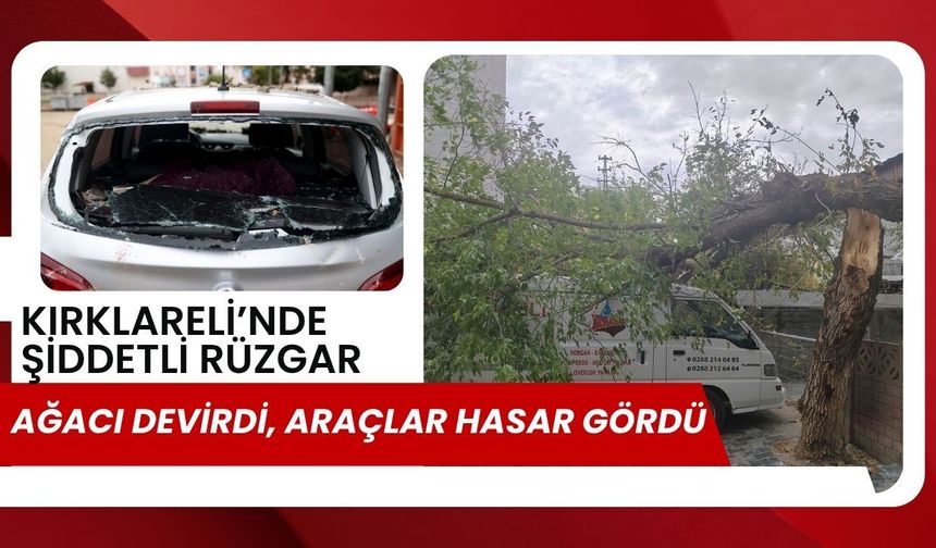 Kırklareli’nde Şiddetli Rüzgar Ağacı Devirdi, Araçlar Hasar Gördü