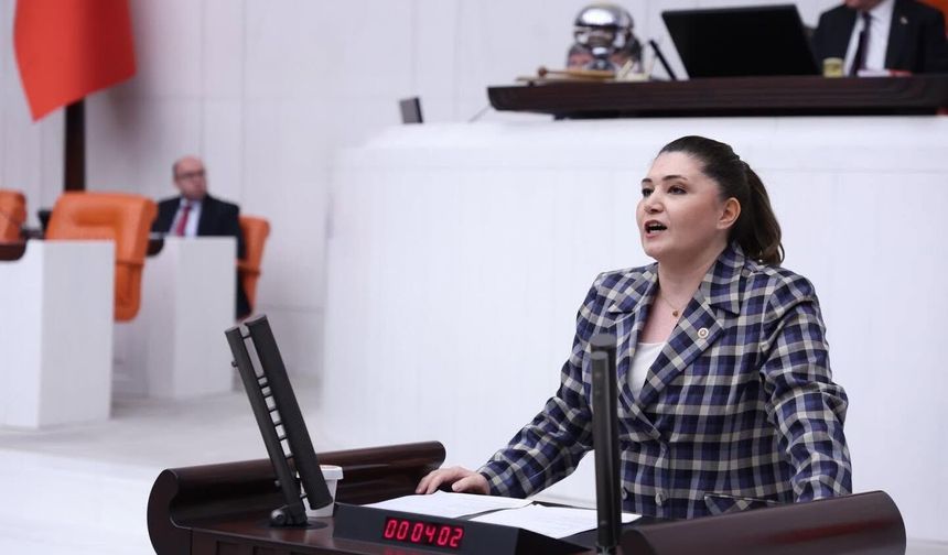 Milletvekili Taşçı’dan İğneada İçin Nükleer Santral Uyarısı