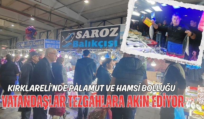 Kırklareli'nde Palamut ve Hamsi Bolluğu! Vatandaşlar Tezgahlara Akın Ediyor