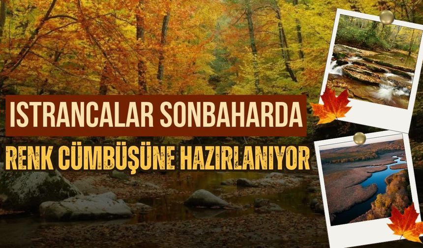 Istrancalar Sonbaharda Renk Cümbüşüne Hazırlanıyor