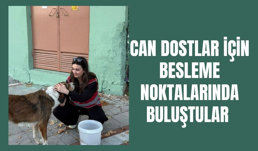 Can Dostlar İçin Besleme Noktalarında Buluştular