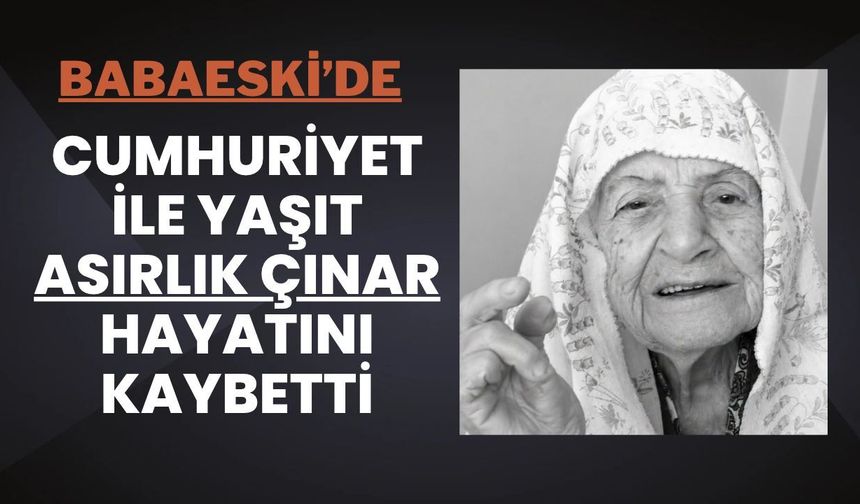 Babaeski'de Cumhuriyet İle Yaşıt Asırlık Çınar Hayatını Kaybetti